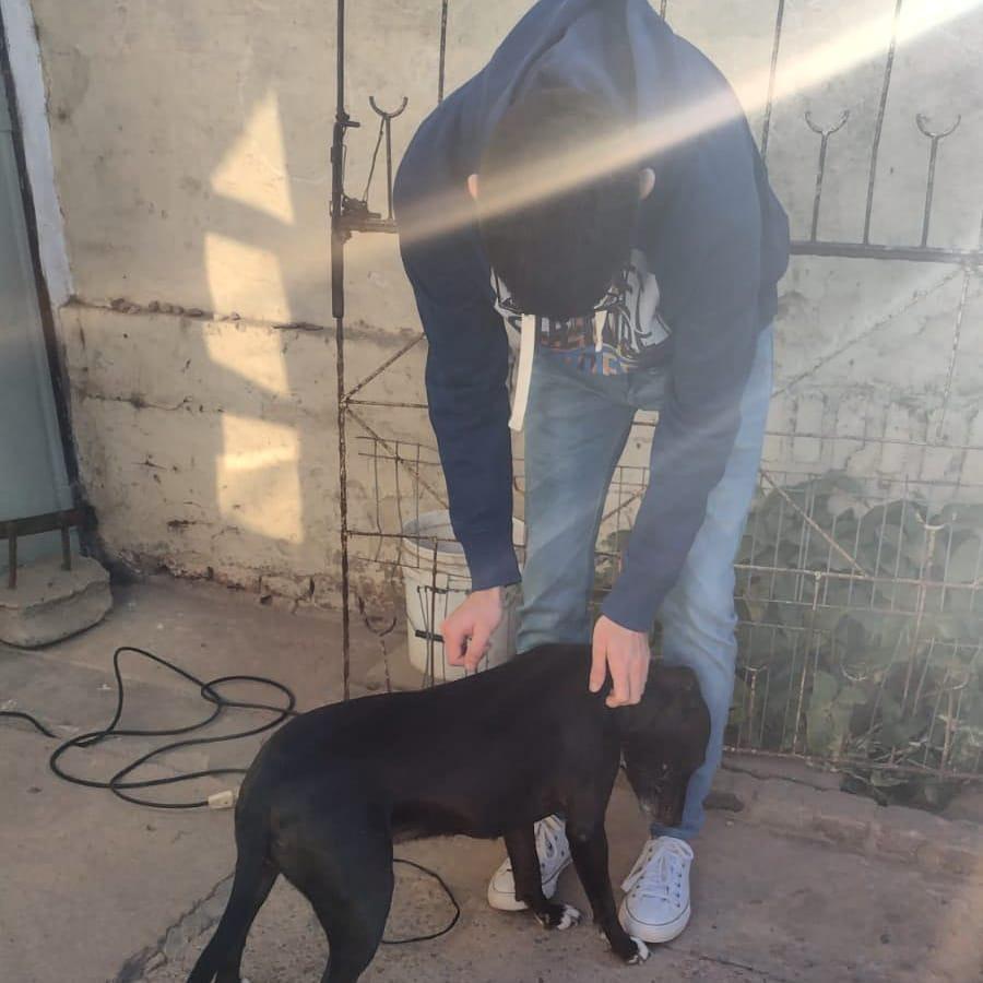 230605932_4529168377128436_4161928118926646669_n