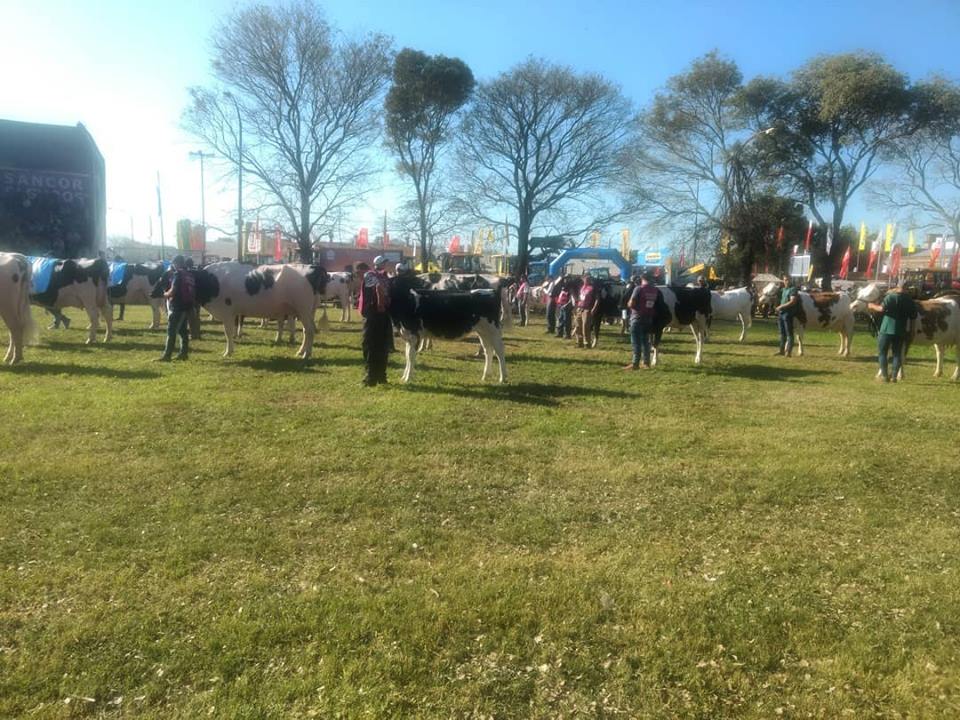 ExpoRural Rafaela-Juan Senn 10