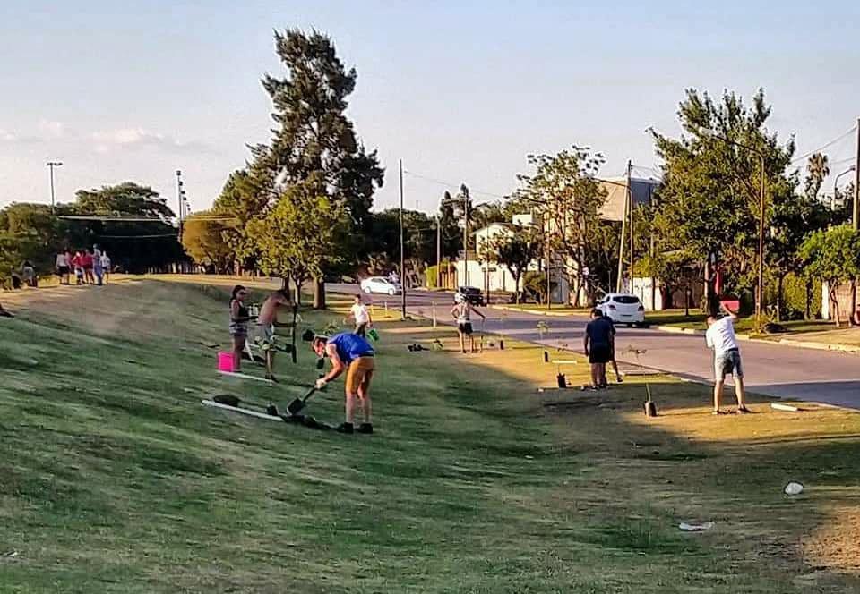 plantacion arboles villa del parque