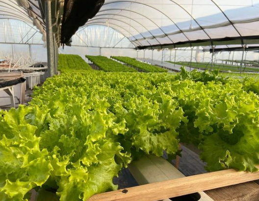 Captura de pantalla 2022-06-07 113024