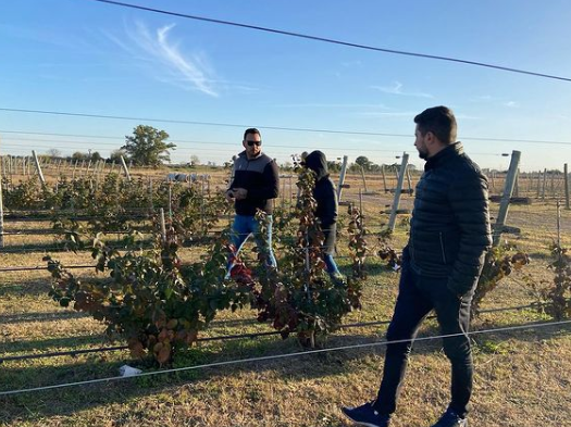 Captura de pantalla 2022-06-07 112919