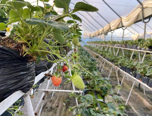 Captura de pantalla 2022-06-07 112932