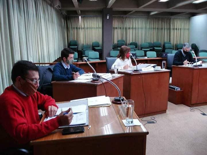 juan senn jorge muriel brensa vimo honrar la vida en concejo municipal