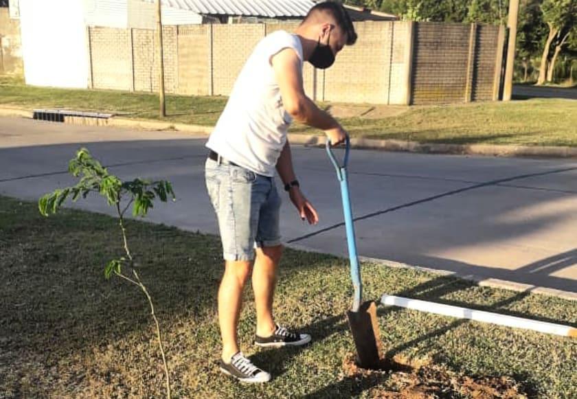 juan senn platacion de arboles en villa del parque
